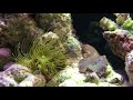 Fragnart’s aquatic meditation feat. Quasi “fable with no moral”