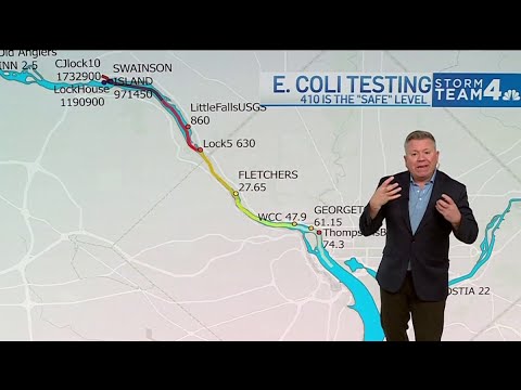 Science 4 Everyone: How dangerous is the bacteria spreading in the Potomac River? | NBC4 Washington