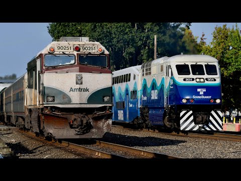 Train Meets and Races 3