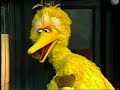 2527 Big Bird S Broken Toy Car