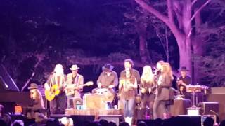 Willie Nelson  - Still Not Dead Live