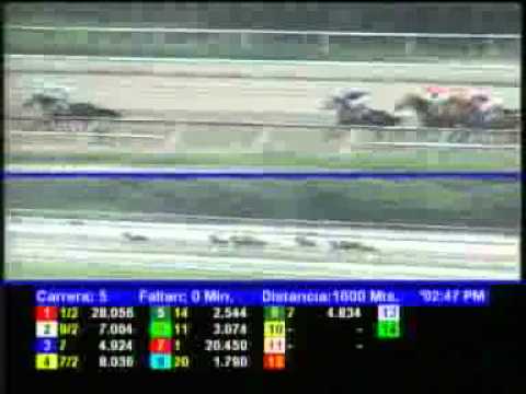 5TA CARRERA DOM 23 SEPTIEMBRE LA RINCONADA AUDIOHIPISMO