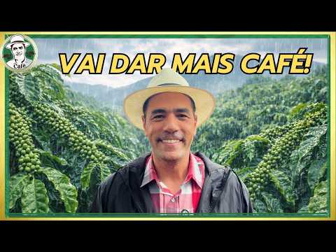 Rainfall and crop formation: What to expect?