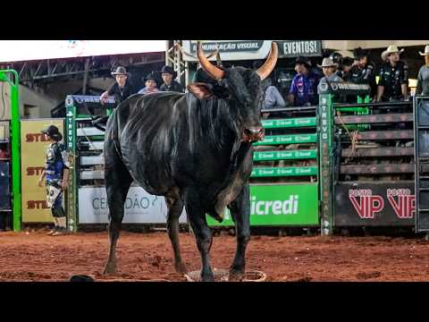 DISPUTA FINAL em TOUROS | RODEIO de ITAPAGIPE-MG 2026