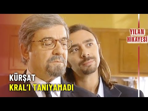 Kral, Kılık Değiştirerek Kürşat'ın Yanında İşe Başlıyor - Yılan Hikayesi Özel Klip