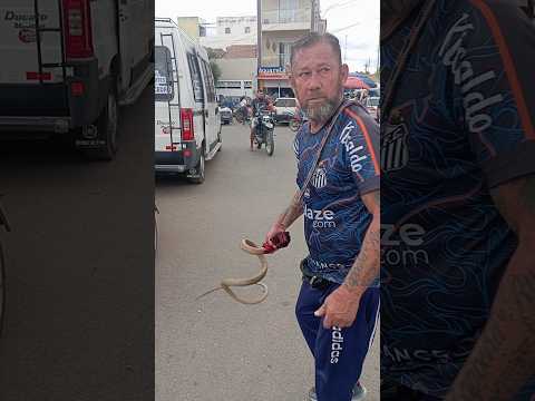 O HOMEM DA COBRA 🌐 FEIRA LIVRE CEDRO PE HOJE.