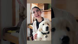 Download lagu 29 October 2025 mp3