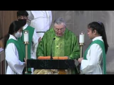 Mass for the 7th Sun OT, St Vincent de Paul Catholic Church, Houston, 11 am Sun, 02-20-2022