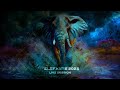 Elefante - Live Session 2023 (Show completo)