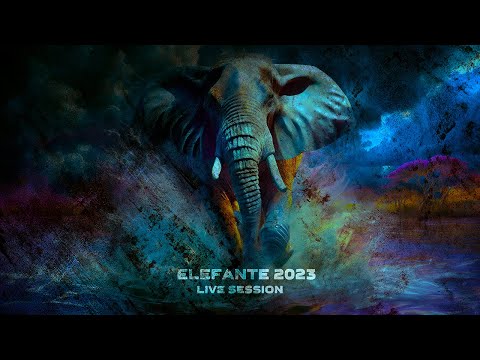Elefante