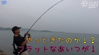 【館山釣り情報】いい加減釣りたいんです・・・魚をください・・【釣りっぱり】