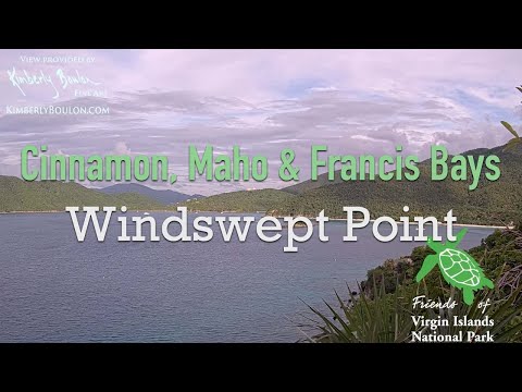 Windswept Point St. John