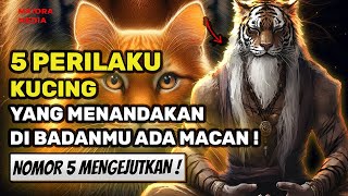 Download lagu SURPRISING❗ 5 Cat Behaviors Towards You That Indicate There's a Tiger Spirit in Your Body!🔥🔥 mp3