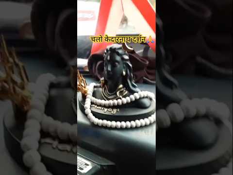 AC Tempo Traveller On Hire In Dehradun