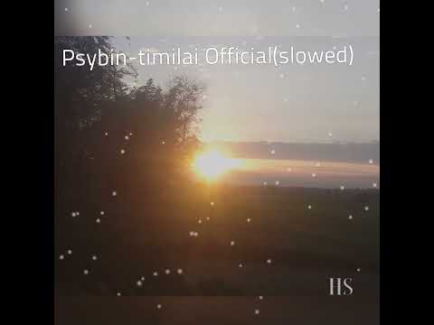 PSYBIN-TIMILAI OFFICIAL(SLOWED) ebit By hS Hard Song #psybient #new #onesidedloveshayari #pyarpars