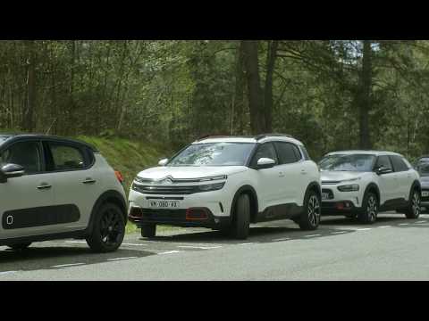 Citroen C5 Aircross SUV - Park Asistanı