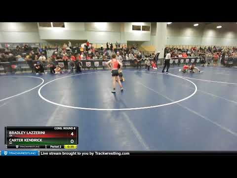 97 Lbs Cons. Round 6 - Bradley Lazzerini, OK Vs Carter Kendrick, SD 981d