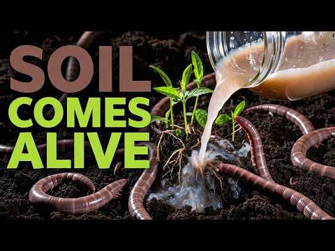Better Than Fertilizer. Brings 1,000 Worms In 3 Days. Revives Dead Soil. Why Is It Hidden?