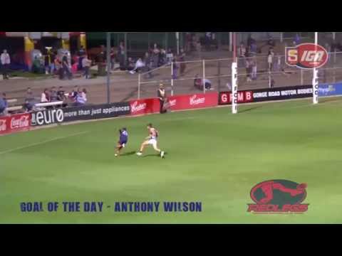 ANTHONY WILSON GOAL OF THE DAY