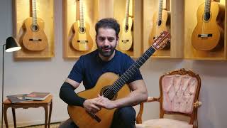 Hermann Hauser II - 1958 No.635 - Video preview