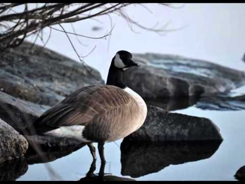 Sharon MA Home For Sale