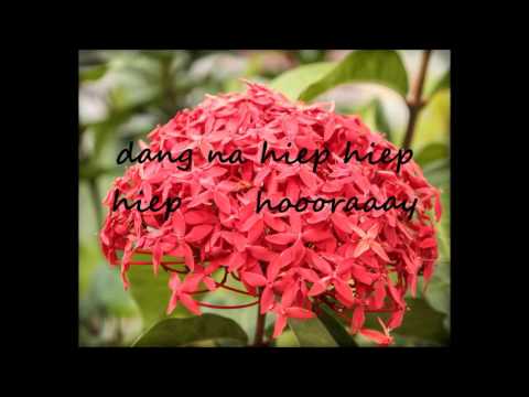 Sabakoe Live - Verjaar Oso Prisiri