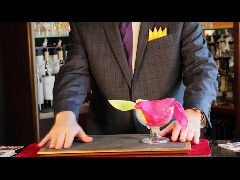 Swish Silk by Creative Magic Products, Warren Stephens