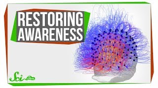 A New Way to Bring People Back from a 'Vegetative State'