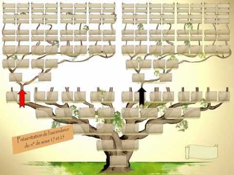 comment construire l'arbre des causes
