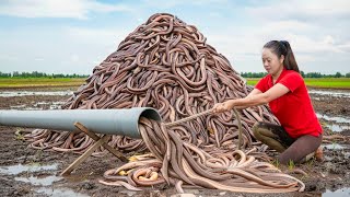 Download lagu Harvesting Millions Prehistoric Eels & Go to Market Sell | How to make effective creative eel traps mp3