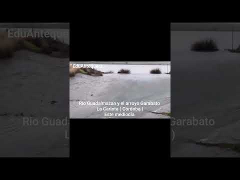 Rio Guadalmazan y el arroyo Garabato ( La Carlota - Córdoba ).