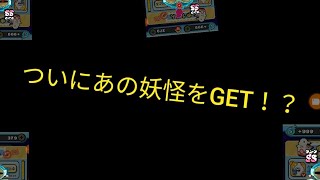 【ぷにぷに】あのスコアタの強キャラをついにGET！？