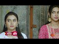 Suryavamsha - Best Scenes | 10 Apr 2024 | Kannada Serial | Udaya TV