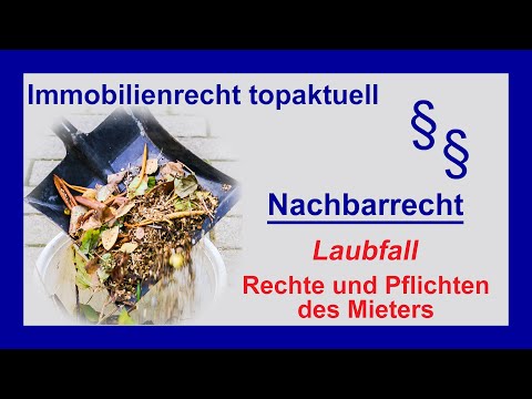 Laubfall - Der Mieter: Rechte und Pflichten | Tutorial