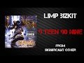 Limp Bizkit - 9 Teen 90 Nine [Lyrics Video]