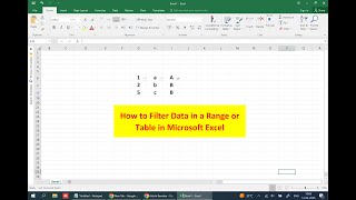 Download the video "How to Filter Data in Microsoft Excel Table"