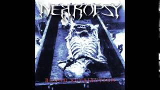 Nekropsy - Introspection