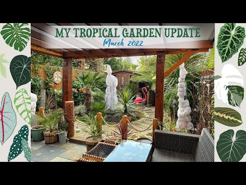 My UK Tropical Garden After Storm Eunice! 🌪☔️ 🌴 Winter Update ❄️