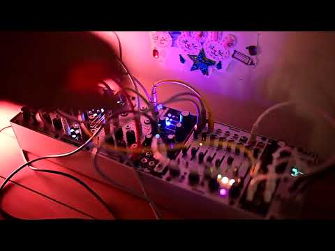 There must be birds here...   Serge NTO - Surface - Sealegs - MFX   -   Live Modular Eurorack