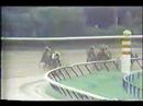 Lady's Secret - 1986 Whitney Handicap