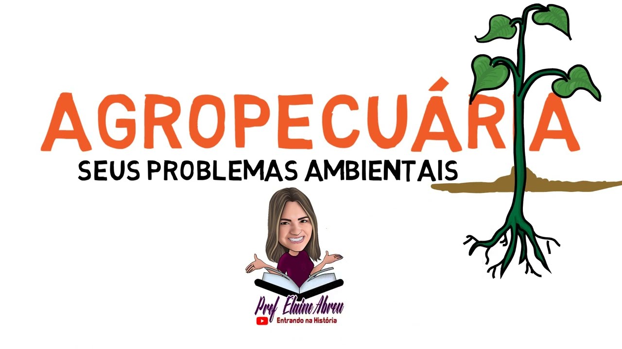 AGROPECUÁRIA E OS PROBLEMAS AMBIENTAIS
