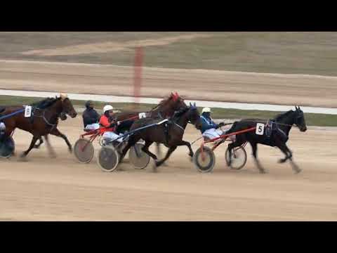 2018.03.24 Ügető 1. futam Kincsem park