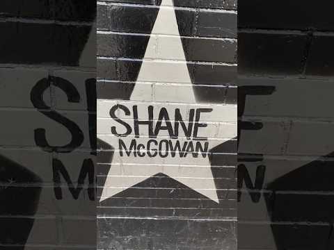 Shane McGowan Sinead O'Connor haunted #music #rock #folk #shorts #