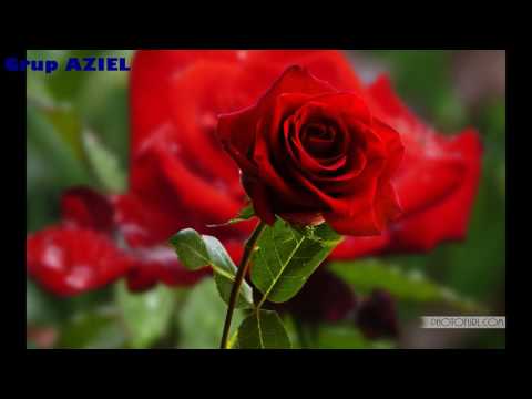 Grup AZIEL - MI-așa de dor de Tine