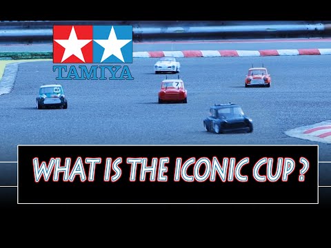 What is the Iconic cup ... Tamiya racing at its best.