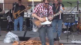 Southern Rock Superstars performing Skynyrd's song Free Bird