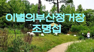 추억을부르는보이스#조명섭 #이별의부산정거장#서울창포원 #전통가요지킴이