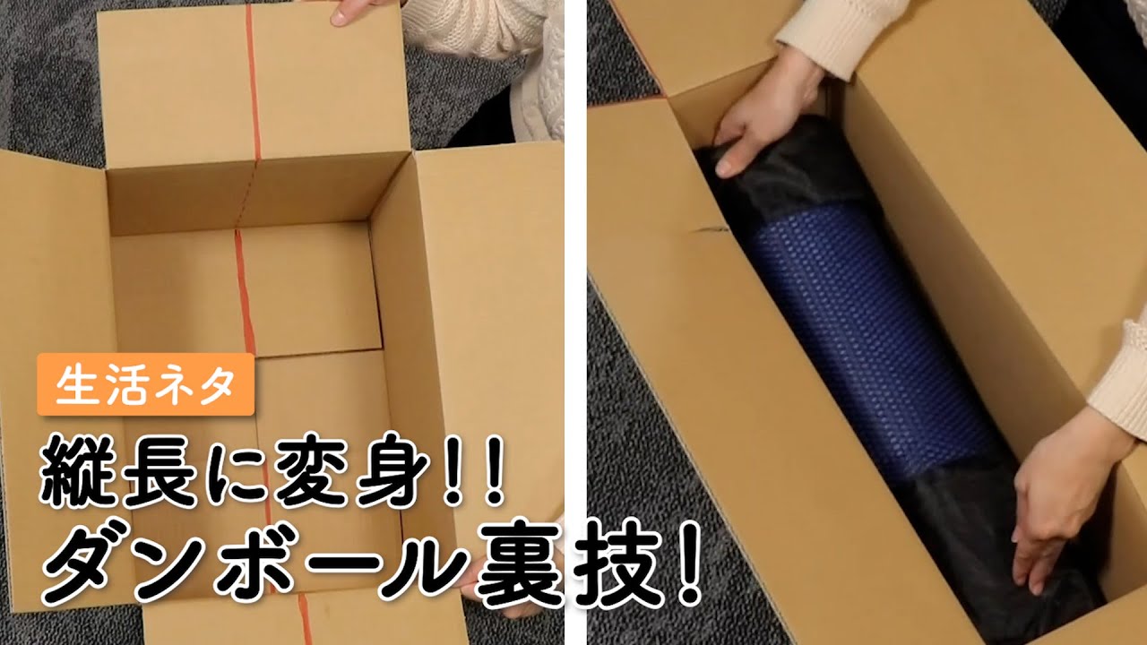 【縦長に変身！？】ダンボール裏技！