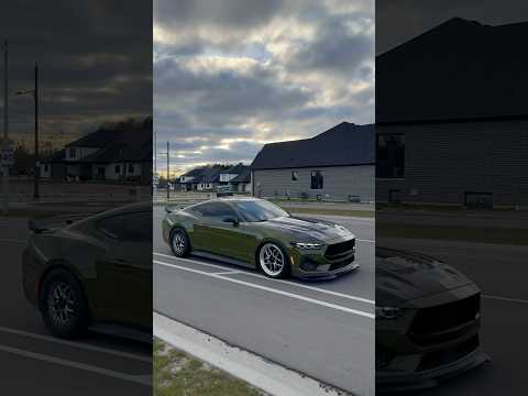 Best sounds Exhaust setup Mustang s650. Corsa Extreme with SP catless headers #corsaexhaust #mustang