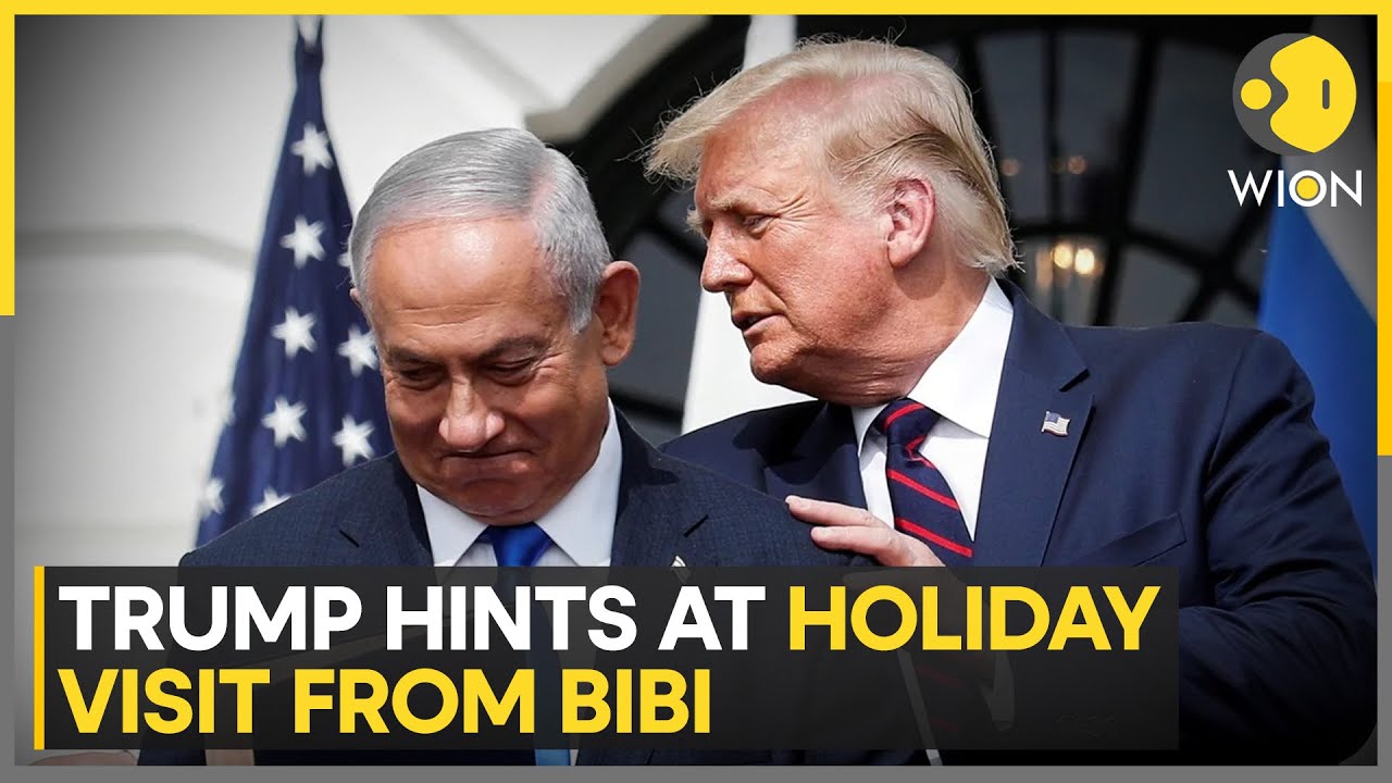 Trump Envoy To Meet Qatar, Egypt, Turkey Officials on Gaza Truce | WION News